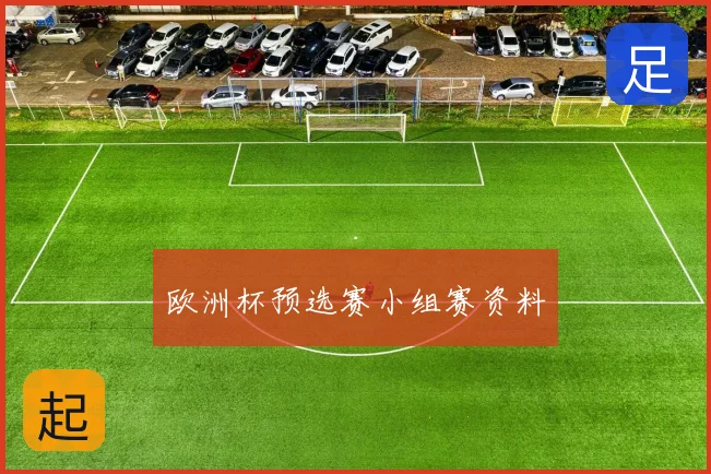 欧洲杯预选赛小组赛资料